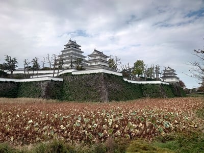 堀外よりの石垣