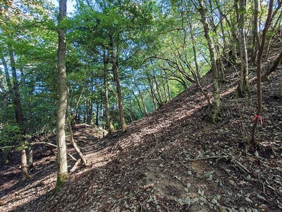 切岸脇の登山道からの眺め