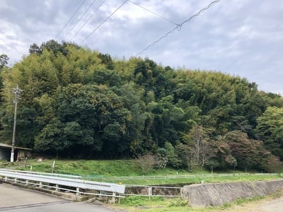 城山遠景（南東から）