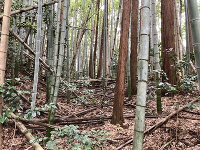 主郭北下、横堀