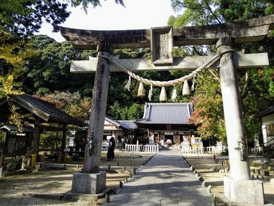 松平東照宮の鳥居と本殿