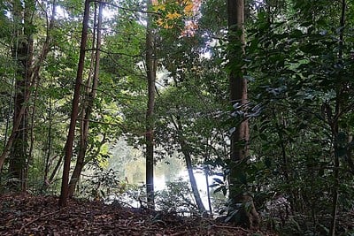 伏見城 内濠跡 治部池