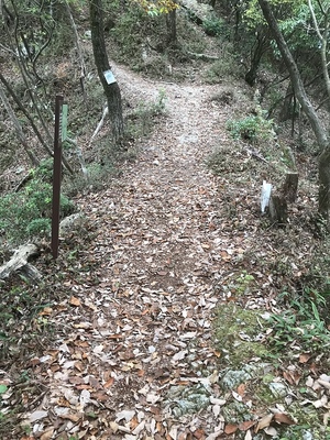 堀切にかかる土橋