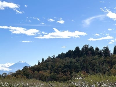 新府城と冨士山