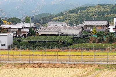 山口城 遠景（北より）