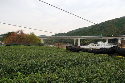 山口城 城址風景