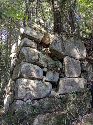 平井丸南西隅の石垣