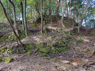 Ⅳ郭東側の石積