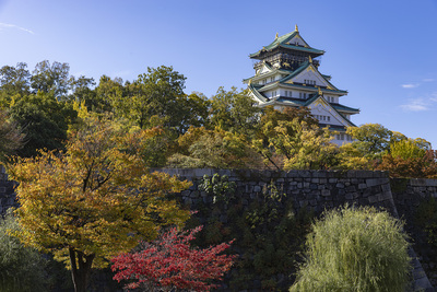 天守近景、紅葉色づき始め