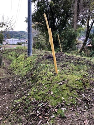 居館跡を囲む土塁