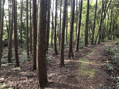 出丸跡　(登城口方向から)