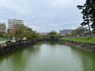 馬出門土橋から見た内堀南側