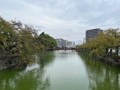 馬出門土橋から見た内堀北側