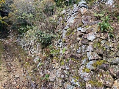 東郭の石垣