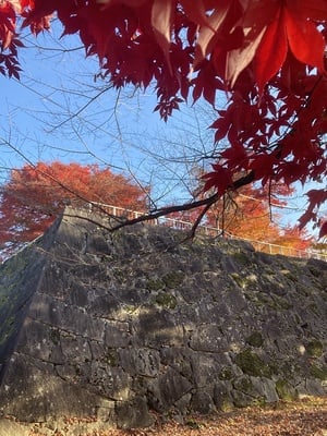 紅く染まる石垣