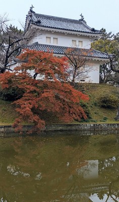 東櫓と紅葉