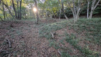 水の手曲輪の屈曲侵入路