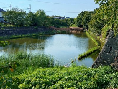 麒麟曲輪西側の水堀