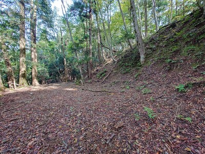 Ⅲ郭西側の切岸と帯曲輪