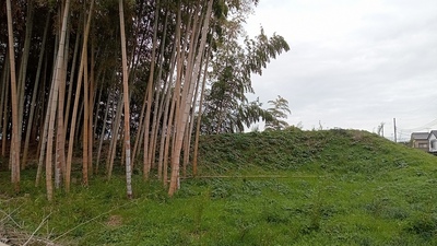 獅子ヶ崎の土塁