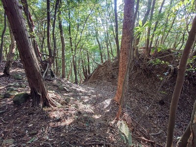 石取場西側の堀切