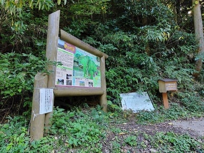 基肄城 水門跡登山口