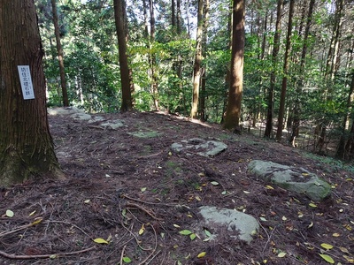 基肄城 坊住北礎石群