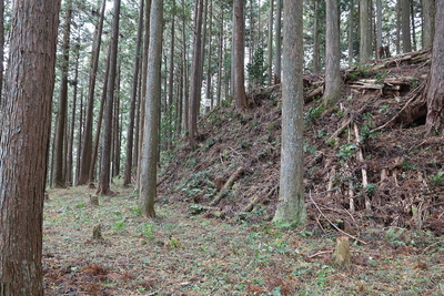 主郭の切岸