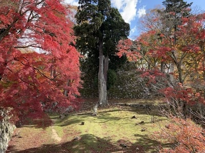 天守台と紅葉