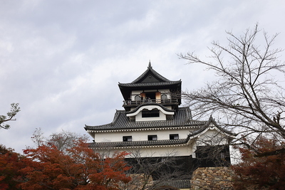 晩秋の天守