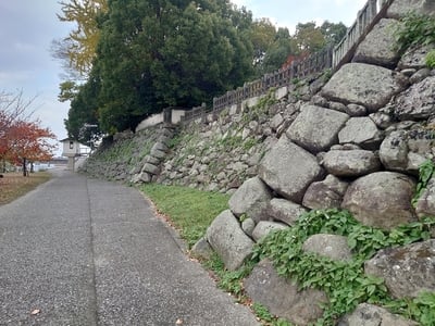 本丸石垣（中津川側）