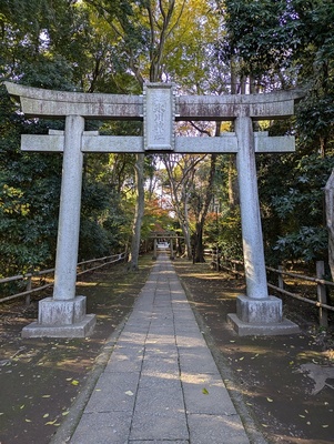 氷川神社