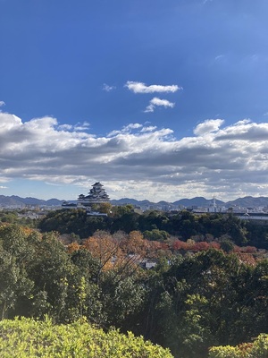 男山からの天守