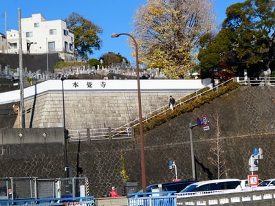 駅から見た城跡