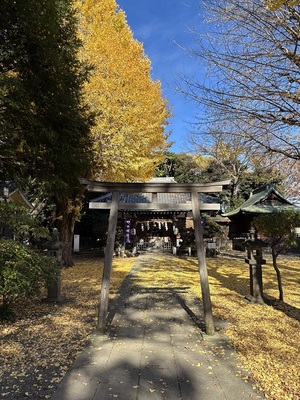 平塚神社境内と社殿