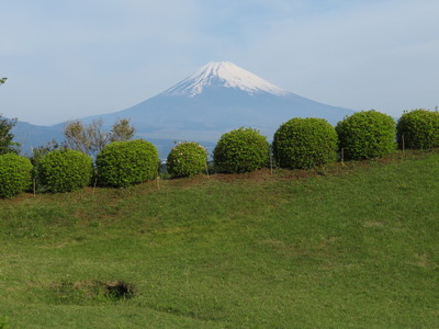 すり鉢曲輪内から富士山
