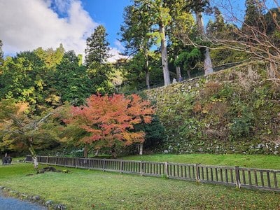 本丸跡の石垣