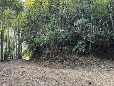 城跡風景