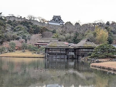 玄宮園から見た彦根城天守