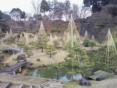 玉泉院丸庭園　雪吊り