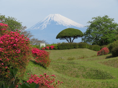 富士山と障子堀