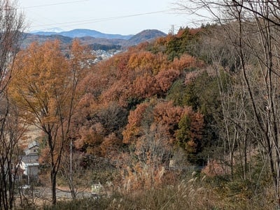 搦手側から高見城(四ツ山城)を臨む