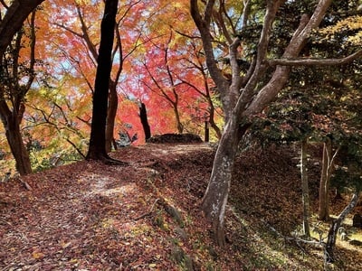 二の丸土塁