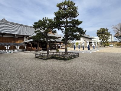 佐賀城本丸歴史館と鯱の門