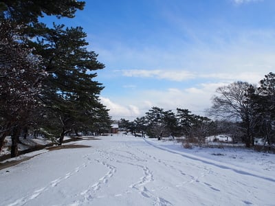 雪の城内東大路