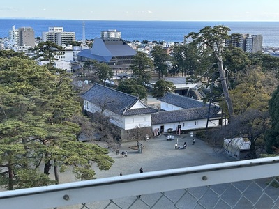 小田原城　天守から見た常盤木門