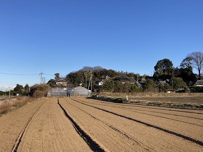 手賀城址全景