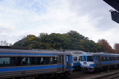 城山全景(徳島駅から)