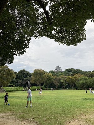 公園から見た天主