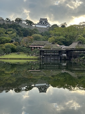 庭園からの天守閣